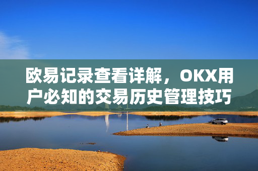 欧易记录查看详解，OKX用户必知的交易历史管理技巧