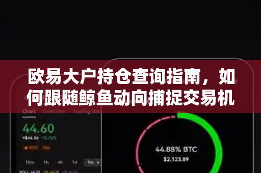 欧易大户持仓查询指南，如何跟随鲸鱼动向捕捉交易机会