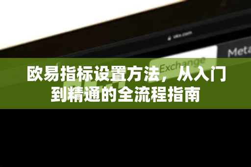 欧易指标设置方法，从入门到精通的全流程指南