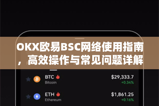 OKX欧易BSC网络使用指南，高效操作与常见问题详解